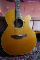 1994 Takamine Santa Fe PSF-94 - ex Dirk Busch (consignment piece)